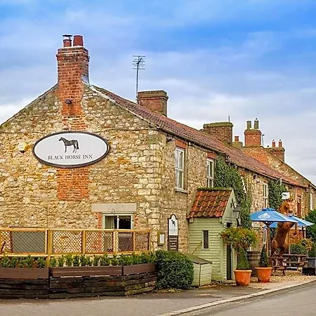 Black Horse